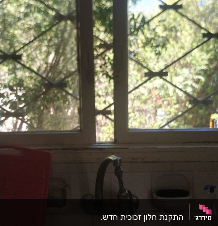 חלון זכוכית עם סורגים וברקע צמחייה ירוקה